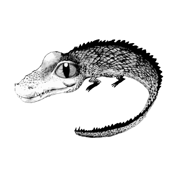 Mini-me – Krokodil - Bild 2