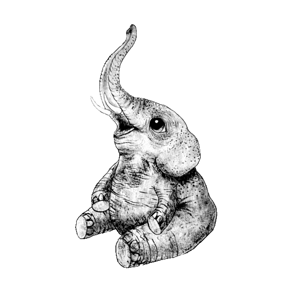 Mini-me – Elefant - Bild 2