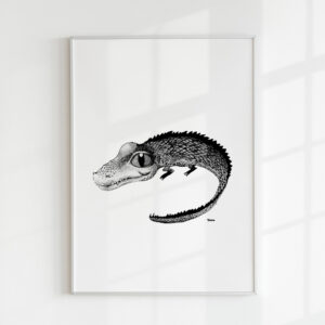 Mini-me – Krokodil
