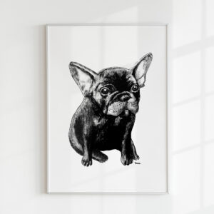 Mini-me – Frenchie
